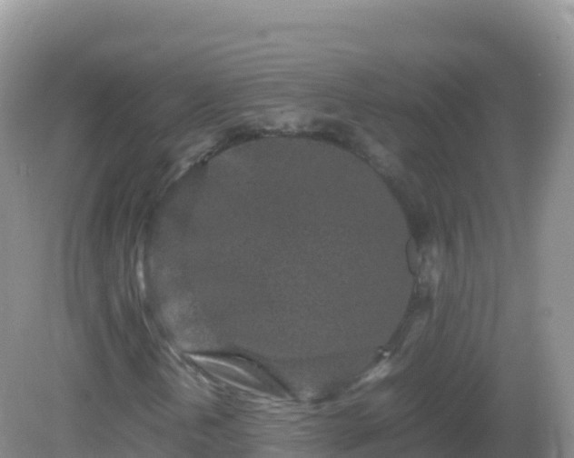 X0000082701202200702021344