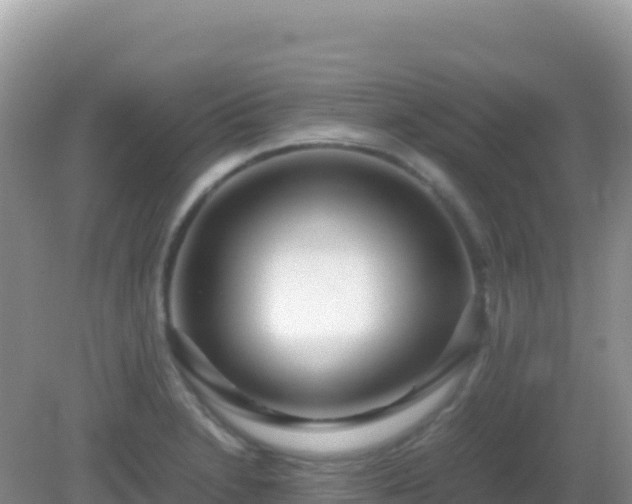 X0000082701230200702021345