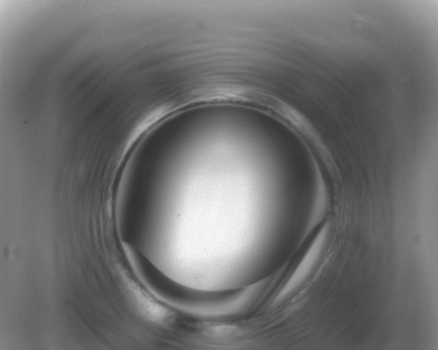 X0000082701234200702021345