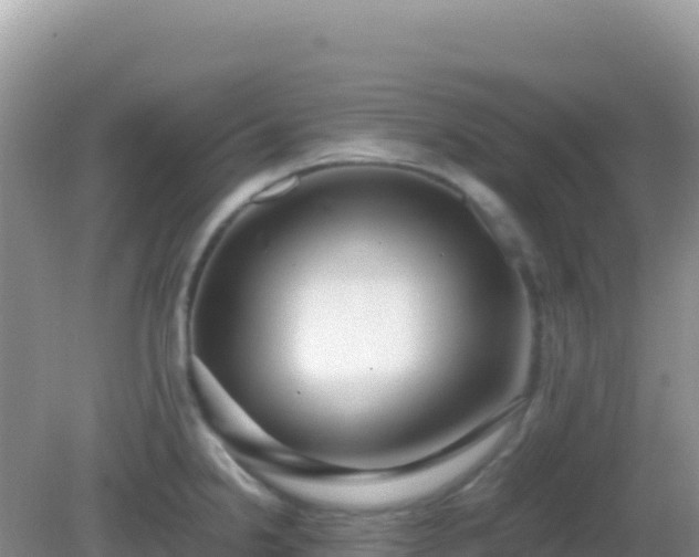 X0000082701238200702021345