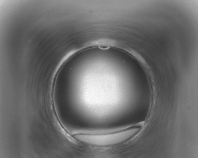 X0000082701248200702021345