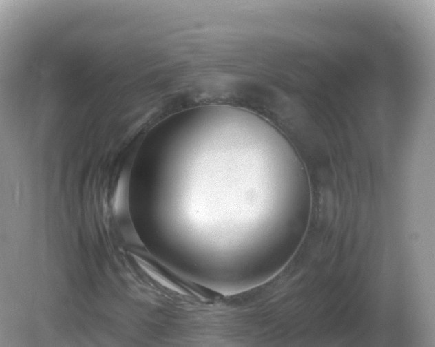 X0000082701250200702021344