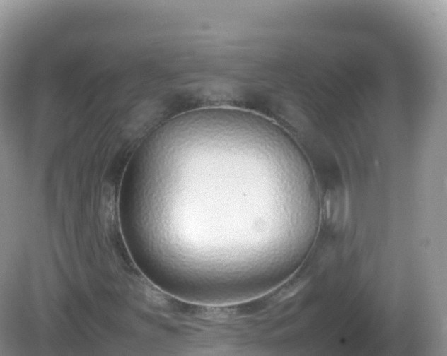 X0000082701251200702021344