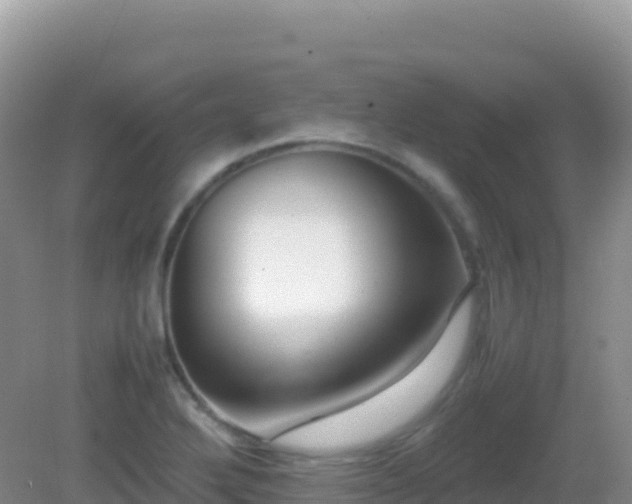 X0000082701272200702021344