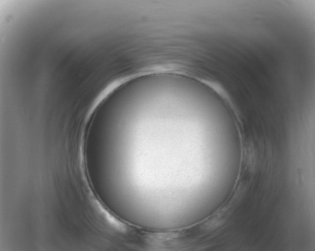 X0000082701294200702021343