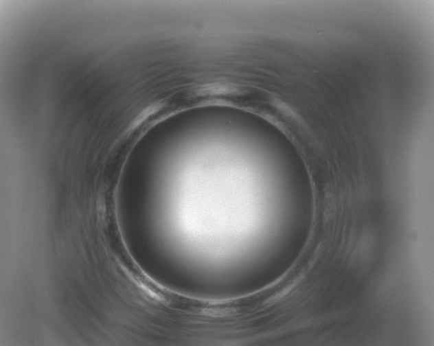 X0000082701305200702021343