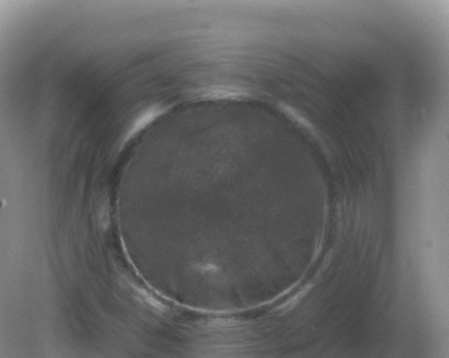 X0000082701306200702021343