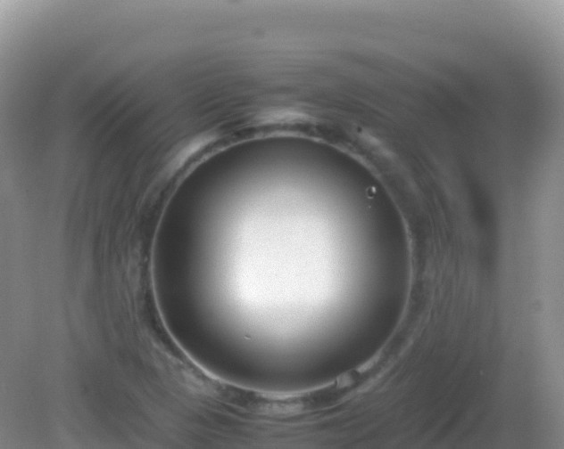 X0000082701313200702021343