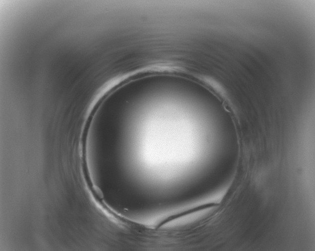 X0000082701335200702021343
