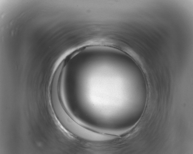 X0000082701344200702021343