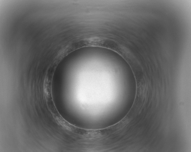 X0000082701346200702021343