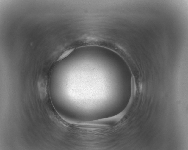 X0000082701348200702021342