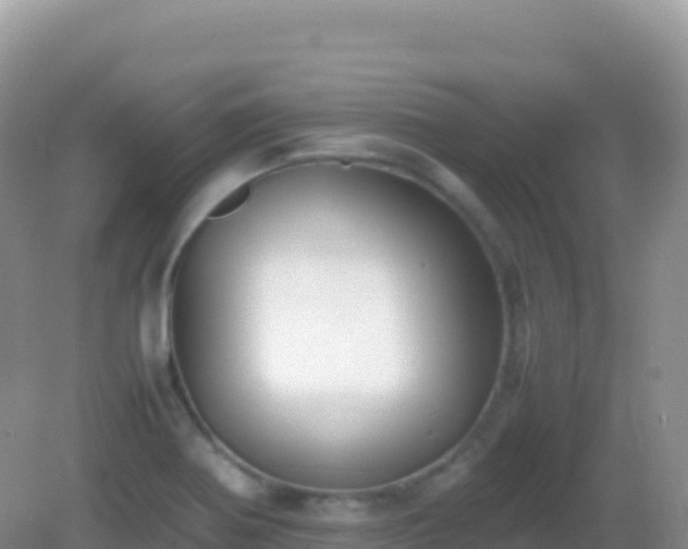 X0000082701370200702021342