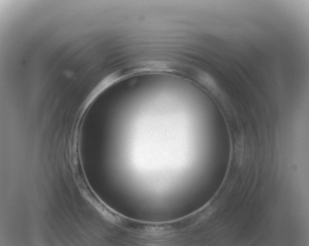 X0000082701378200702021342