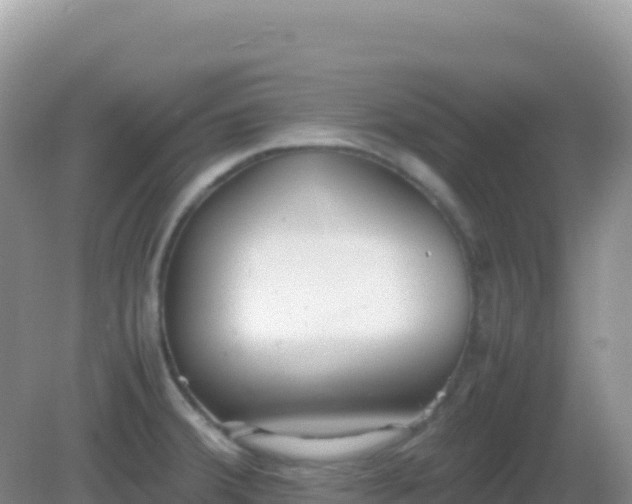 X0000082701380200702021342