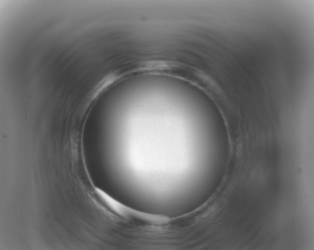 X0000082701409200702021341