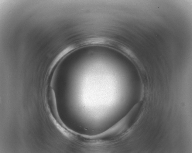 X0000082701426200702021341