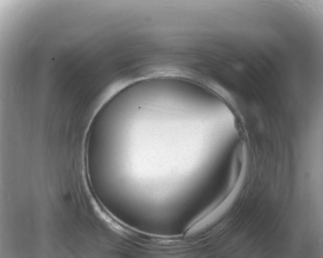 X0000082701439200702021342