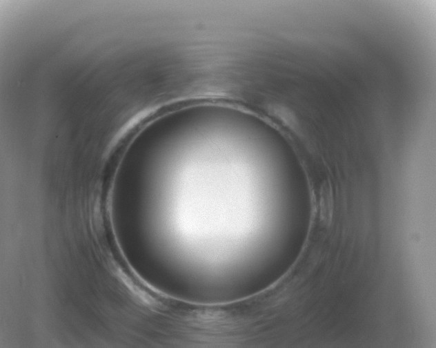 X0000082701452200702021341