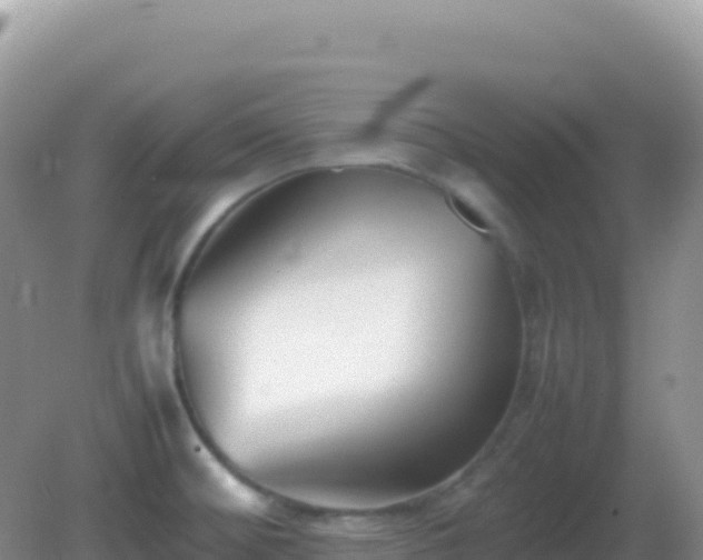 X0000082701476200702021340