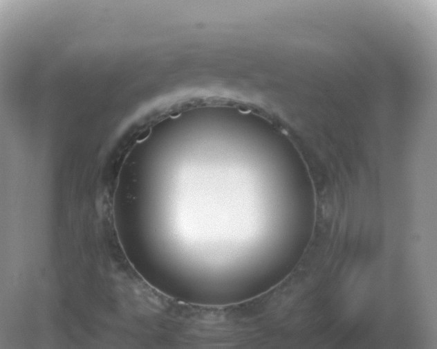 X0000082701495200702021339