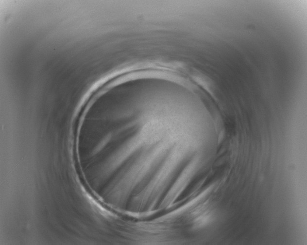 X0000082701508200702021340