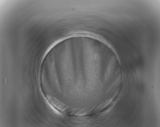 X0000082701533200702021340