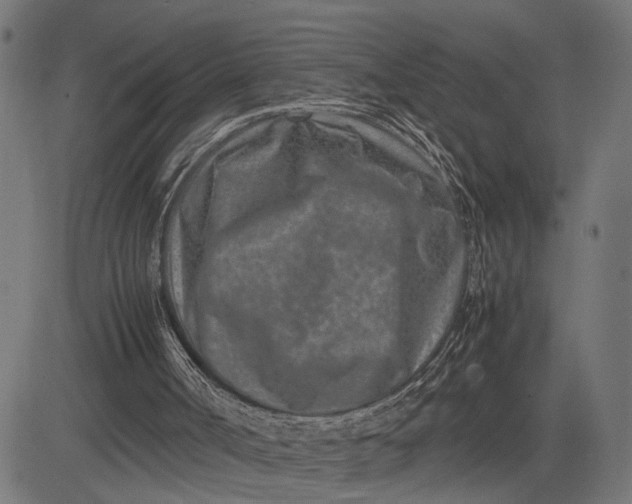 X0000082700002200702091734