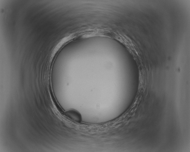 X0000082700003200702091734