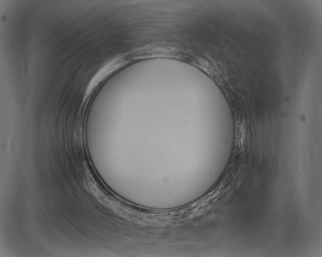 X0000082700004200702091734