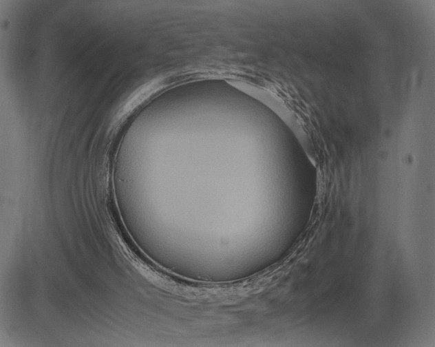 X0000082700005200702091734