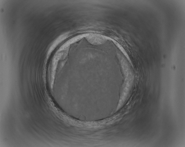 X0000082700006200702091734