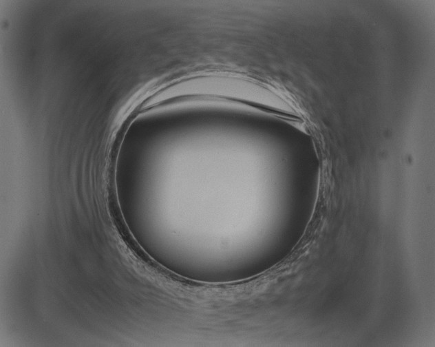 X0000082700007200702091734