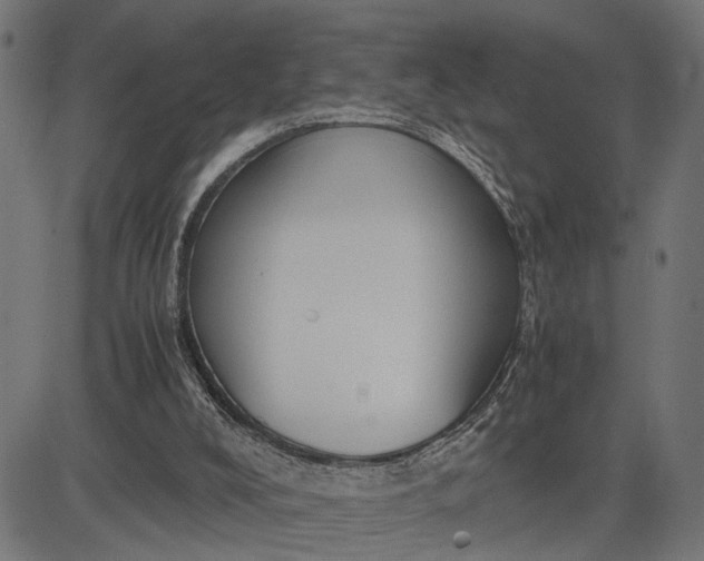 X0000082700008200702091734