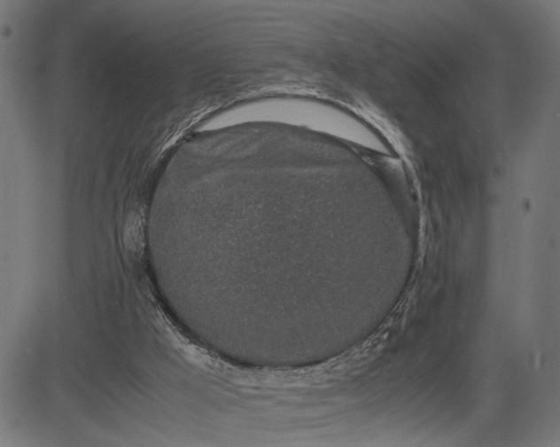 X0000082700009200702091734