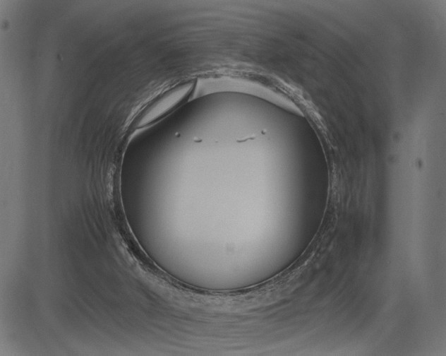 X0000082700010200702091734