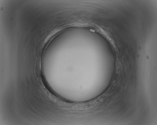 X0000082700011200702091734