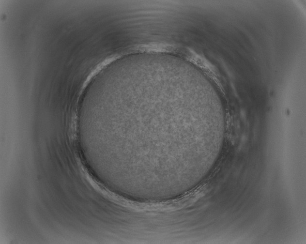 X0000082700012200702091734