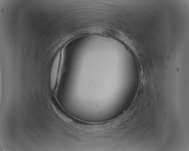 X0000082700013200702091734