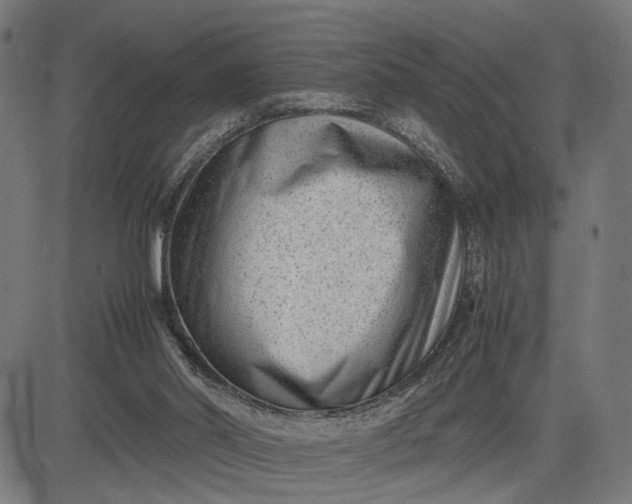 X0000082700014200702091734