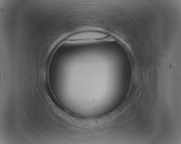 X0000082700015200702091734