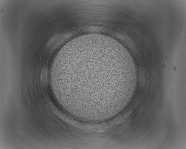 X0000082700016200702091734