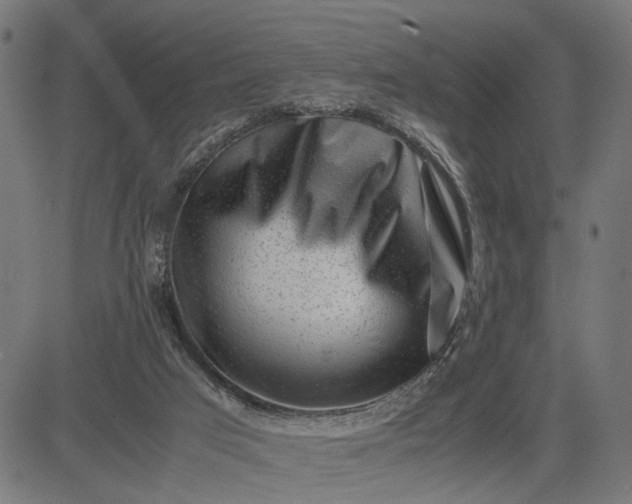 X0000082700017200702091734