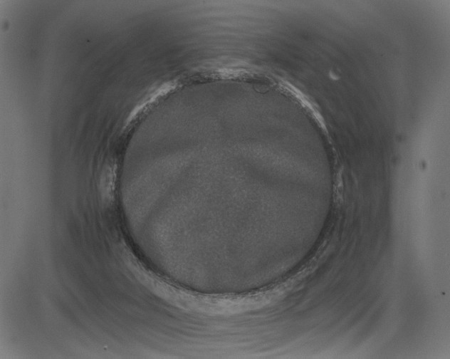 X0000082700018200702091734