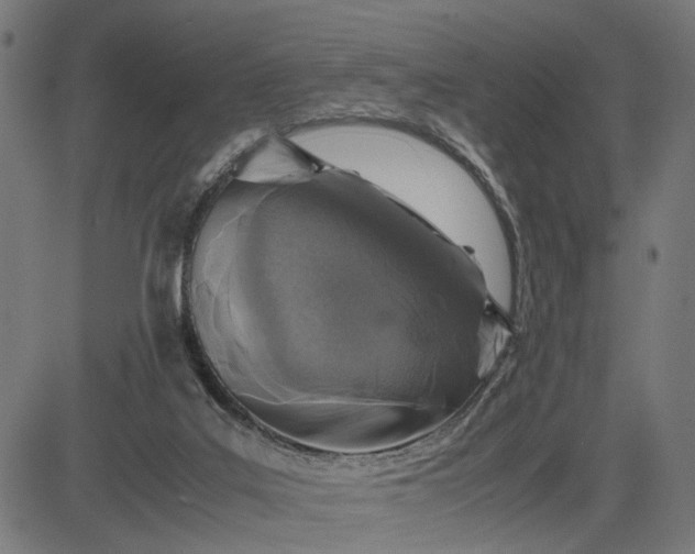 X0000082700019200702091734