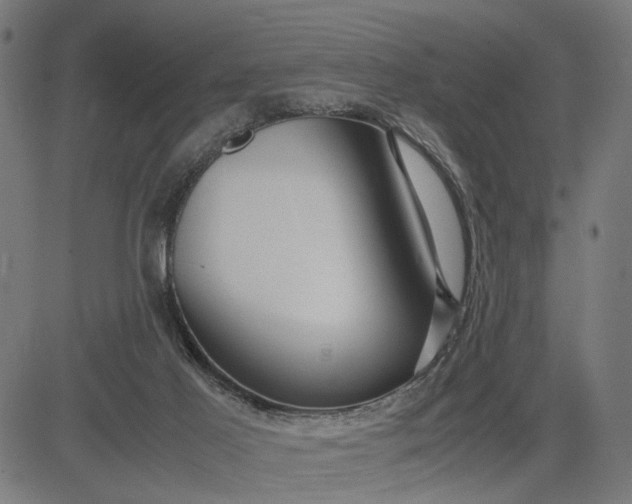 X0000082700021200702091734