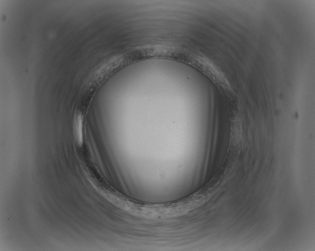 X0000082700022200702091734