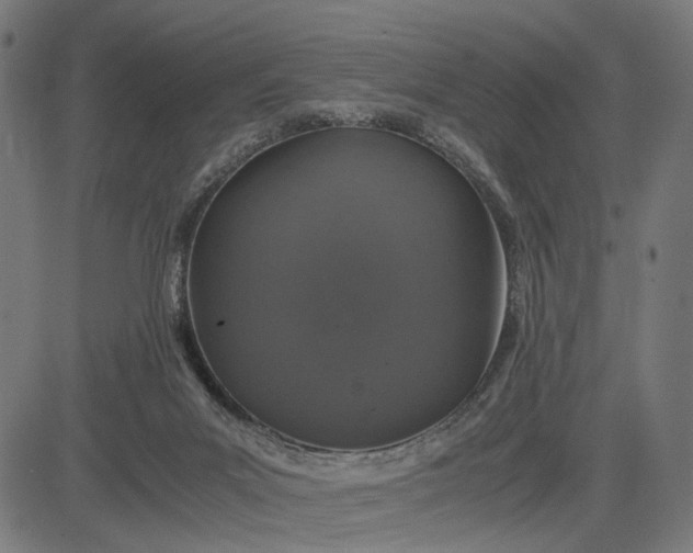 X0000082700023200702091734