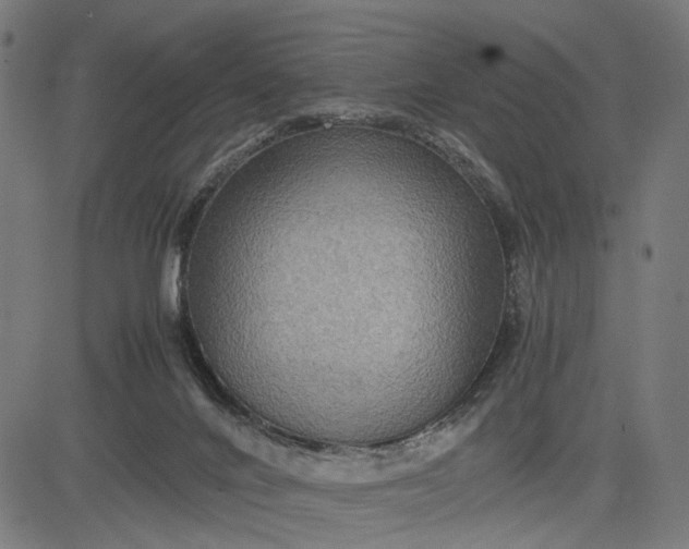 X0000082700024200702091734