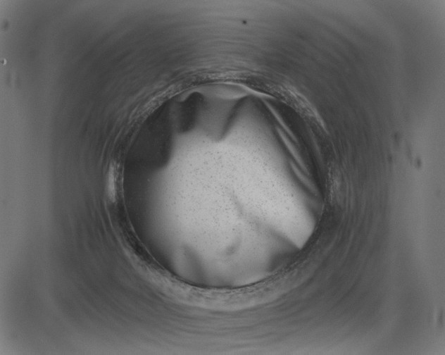 X0000082700026200702091734